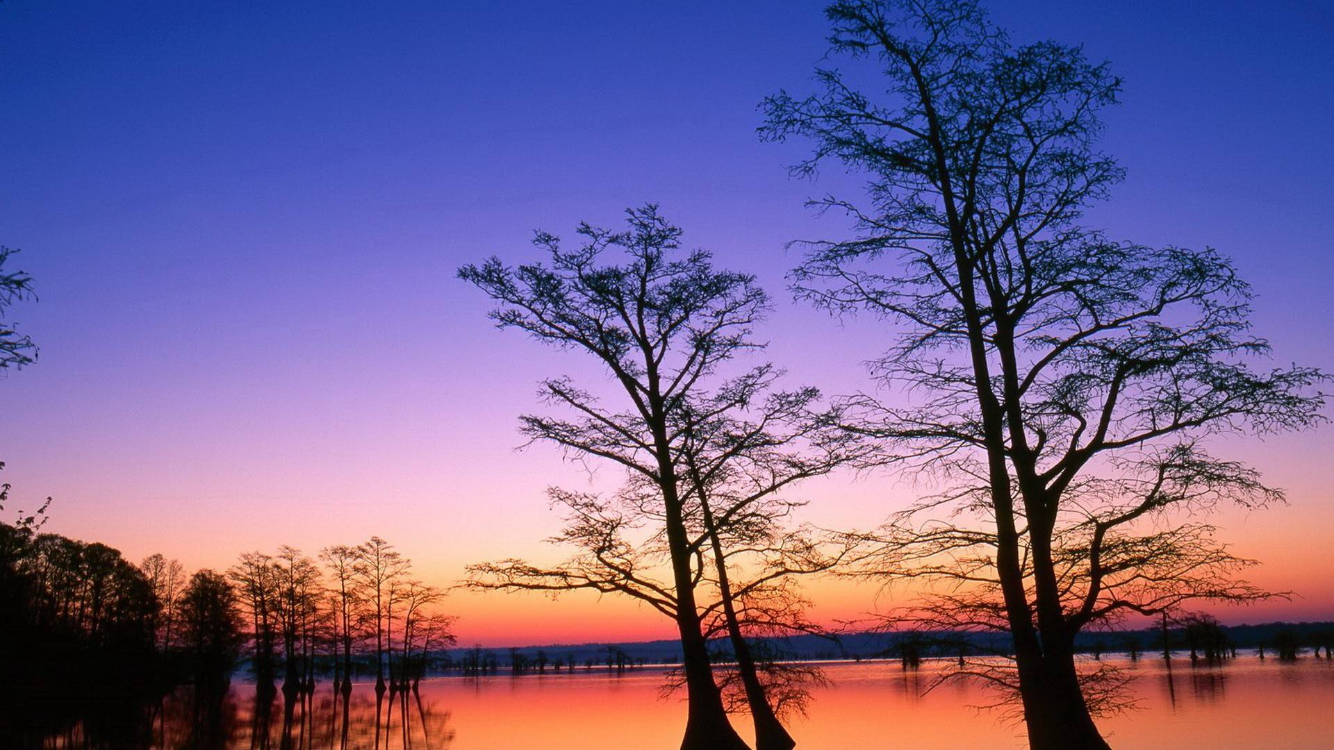 滾珠絲杠如何維護呢？